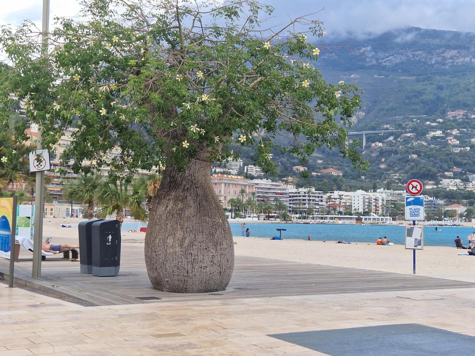 Le 182 Promenade Du Soleil Apartman Menton Kültér fotó
